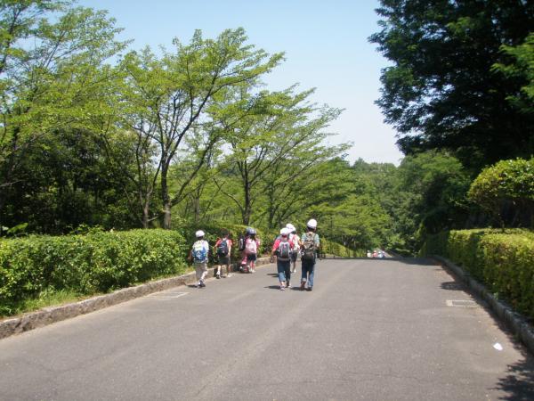 https://www.db.kansai-maas.jp/image/photos/9bd6fce2-fb98-412c-9a73-13541cd9346f.jpg