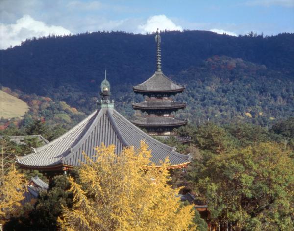 https://www.db.kansai-maas.jp/image/photos/9c8fa503-3546-4ad1-86d9-f3cd4c1b5823.jpg