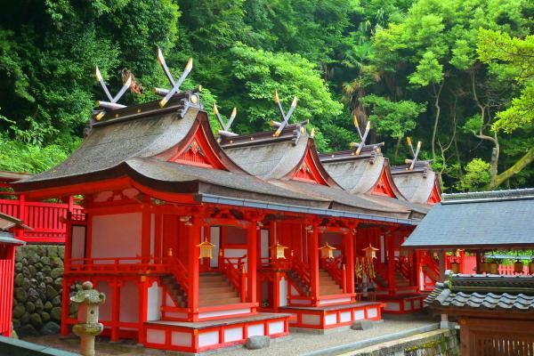 https://www.db.kansai-maas.jp/image/photos/9c97994b-69aa-4fc9-8b75-bf51c47c776f.jpg