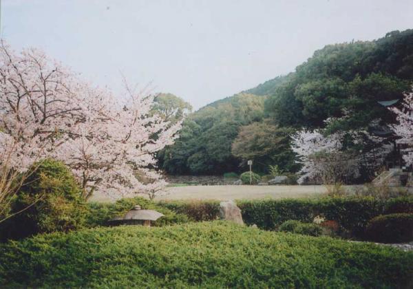 https://www.db.kansai-maas.jp/image/photos/9dbc972d-2f1e-4466-a15a-0c06b1b1cf7a.jpg