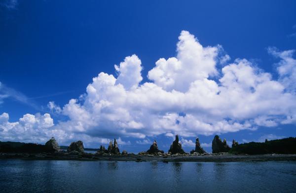 https://www.db.kansai-maas.jp/image/photos/9dd7d565-2ac7-4ea8-9519-4a638ce2170c.jpg