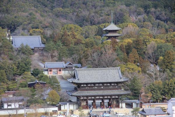 https://www.db.kansai-maas.jp/image/photos/9e324572-26e5-4732-88fd-48bd87267012.jpg