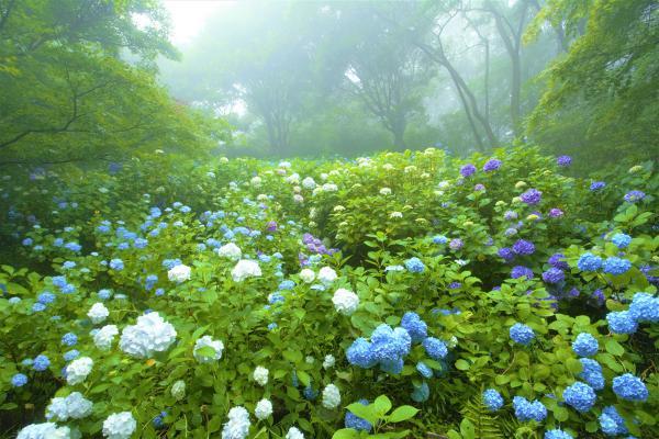 https://www.db.kansai-maas.jp/image/photos/9e628d61-2a96-4d41-acfb-51e69e558ae1.jpg