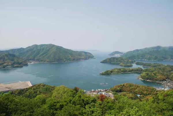 https://www.db.kansai-maas.jp/image/photos/9ea5b3f9-995f-4323-8923-4ae0772f88b5.jpg