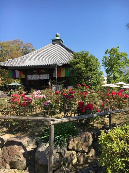 https://www.db.kansai-maas.jp/image/photos/9fa7a1fd-1724-47f9-a961-4c046a35b286.jpg