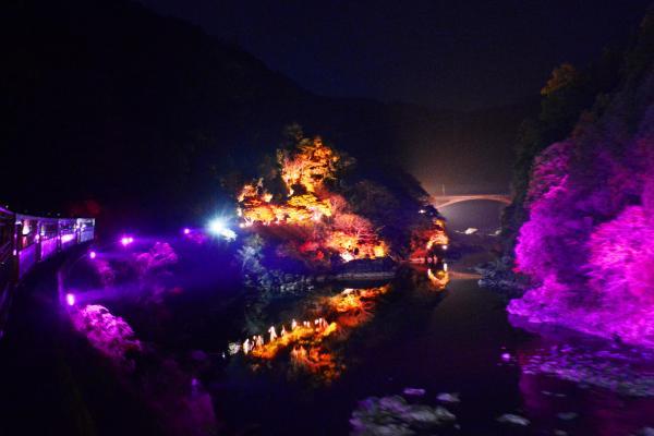 https://www.db.kansai-maas.jp/image/photos/a08328dc-22a8-4ce6-89ab-dcc80a8fd3cb.jpg
