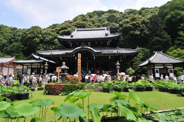 https://www.db.kansai-maas.jp/image/photos/a181c46e-11e6-476a-9d97-ad6d57fbb964.jpg
