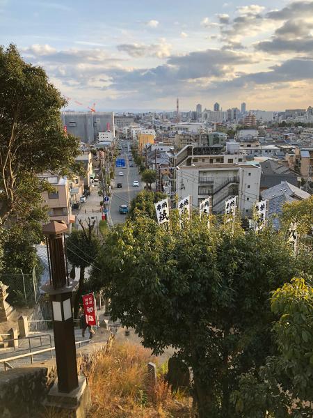 https://www.db.kansai-maas.jp/image/photos/a1f9d04d-e0c5-4668-9c5e-7d2558a993e7.jpg