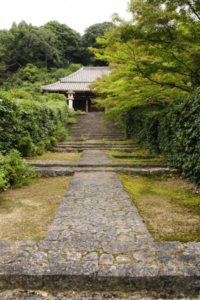 https://www.db.kansai-maas.jp/image/photos/a21754a7-08d5-4171-a249-7f6bc999db7c.jpg