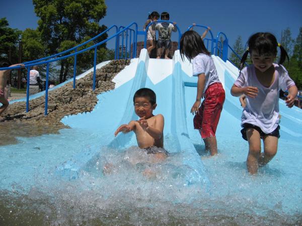 https://www.db.kansai-maas.jp/image/photos/a3ede344-cf71-4a61-b1b1-926b3c03a354.jpg