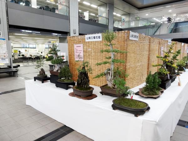 https://www.db.kansai-maas.jp/image/photos/a4b4b708-df02-48fe-91b9-aa89f44c2db2.jpg