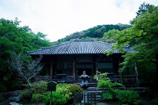 https://www.db.kansai-maas.jp/image/photos/a546915c-c5e1-42b5-97ef-5e8c5a546804.jpg
