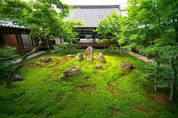 https://www.db.kansai-maas.jp/image/photos/a5f81f68-46ea-4202-b709-503e9444c421.jpg