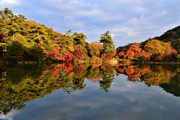 https://www.db.kansai-maas.jp/image/photos/a6286166-b96f-47e4-bf19-3a1abdf3c9f2.jpg