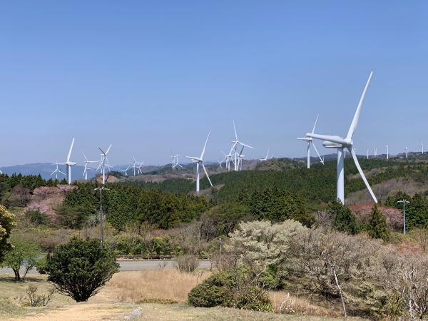 https://www.db.kansai-maas.jp/image/photos/a685eec4-7aec-43ce-b6ed-b46e3ea0bfe1.jpg