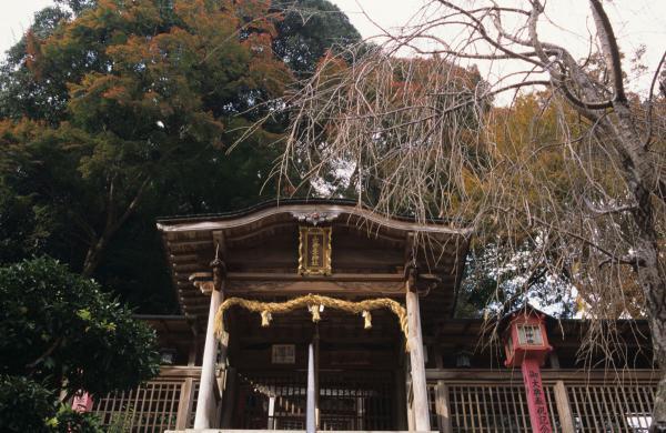 https://www.db.kansai-maas.jp/image/photos/a718d255-3799-411d-9ff0-63d696063b2c.jpg