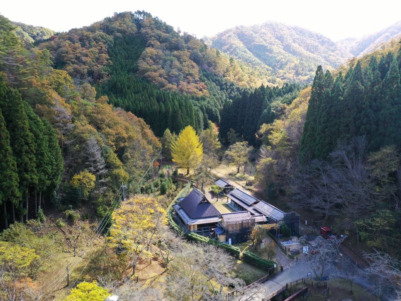 https://www.db.kansai-maas.jp/image/photos/a74d7278-74f3-42af-8e42-421629321df9.JPG