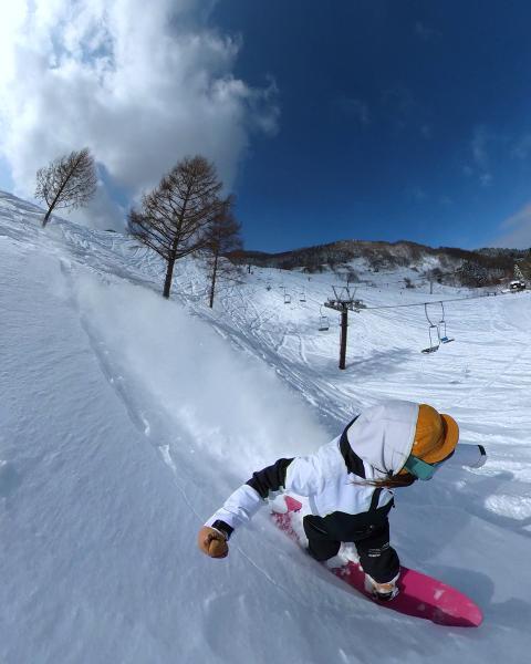 https://www.db.kansai-maas.jp/image/photos/a79f71a9-9e41-4f25-b0c7-307275b00c11.jpg