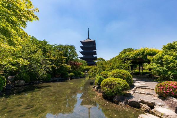 https://www.db.kansai-maas.jp/image/photos/a7ec1804-a287-46a2-84dd-ed0f4bcf3760.jpg