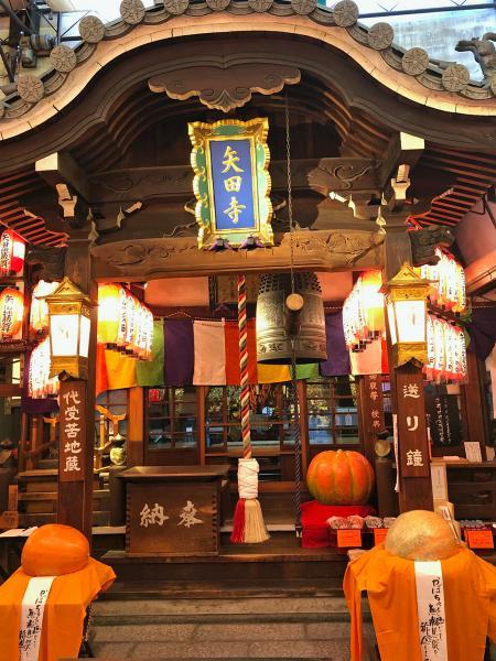 https://www.db.kansai-maas.jp/image/photos/a80b834b-e5d3-49c9-94b8-d074e5ed65bf.jpg