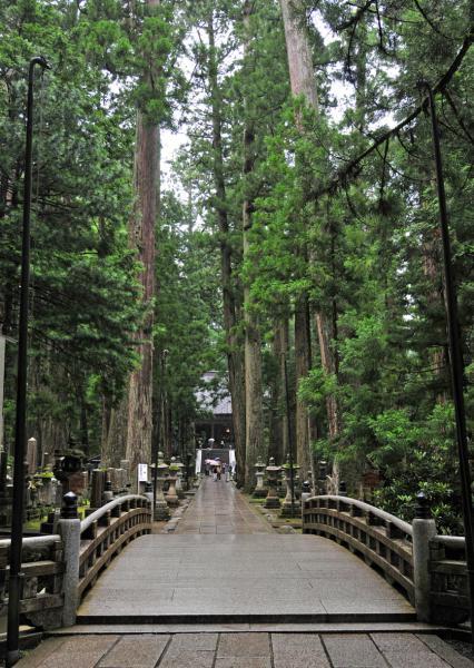 https://www.db.kansai-maas.jp/image/photos/a97e47aa-a756-42cd-8cb5-088194b98726.jpg