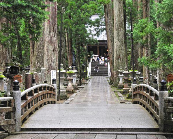 https://www.db.kansai-maas.jp/image/photos/a98bf29e-4d57-42b1-a8b7-9c6163d3a11c.jpg