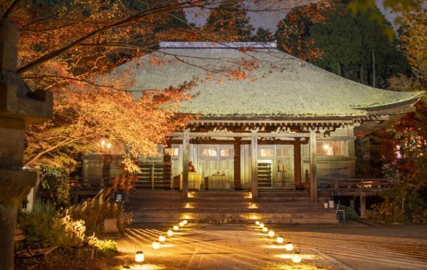 https://www.db.kansai-maas.jp/image/photos/a9b887b3-e7cc-4882-b7a5-51489d240d8f.jpg