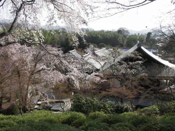 https://www.db.kansai-maas.jp/image/photos/a9e3d9b3-c2f6-48dc-ad04-16e8b131b0f5.jpg