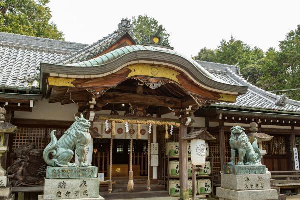 https://www.db.kansai-maas.jp/image/photos/aa4341be-0a56-478a-98a2-92cbf2c55fcf.jpg