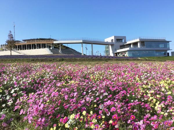 https://www.db.kansai-maas.jp/image/photos/aa4ff387-f337-4813-b093-d81b48f3fd04.jpg