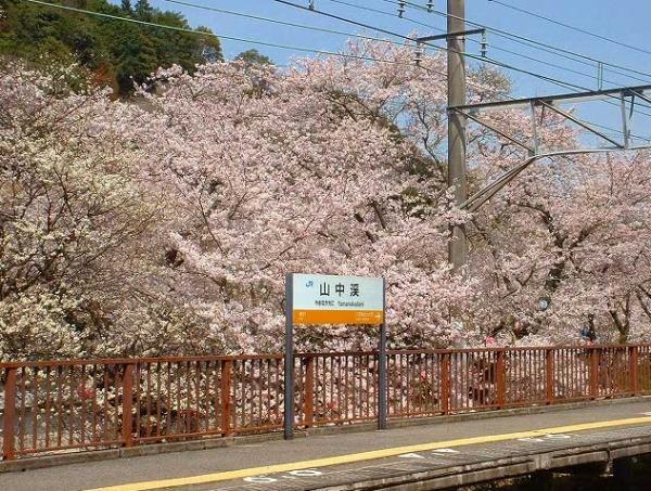 https://www.db.kansai-maas.jp/image/photos/aa83848a-922d-45fe-bf29-921cafce4ed9.jpg