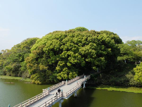 https://www.db.kansai-maas.jp/image/photos/aacd61c2-6f46-47bb-89f5-bfac0a553bf5.jpg