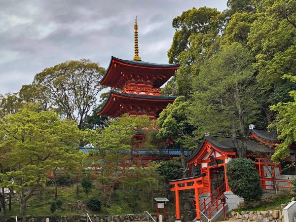 https://www.db.kansai-maas.jp/image/photos/aad0bd38-a0c0-4de2-8381-f65073716af5.jpg