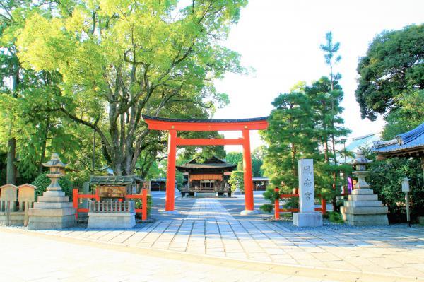 https://www.db.kansai-maas.jp/image/photos/aaf9ddbd-d3bb-453f-bdf3-d27580573258.jpg