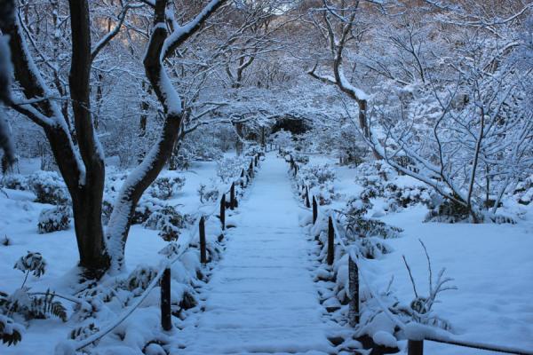 https://www.db.kansai-maas.jp/image/photos/ab4093e0-dffc-43a1-9fef-f17f5d5af5cd.jpg