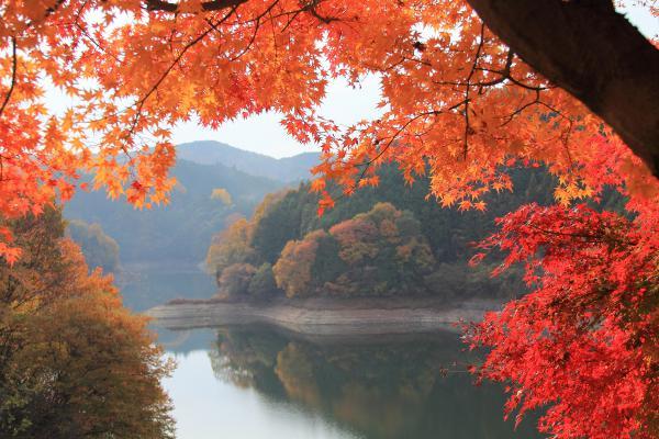 https://www.db.kansai-maas.jp/image/photos/ab4d4bf0-6356-41f6-8fe5-678204339b89.jpg