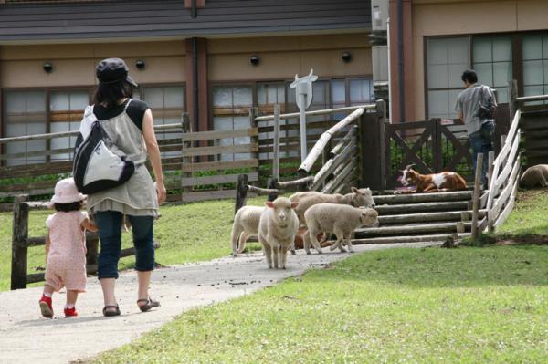 https://www.db.kansai-maas.jp/image/photos/ab58fb86-e044-4199-8f36-cf4795bf9b31.jpg