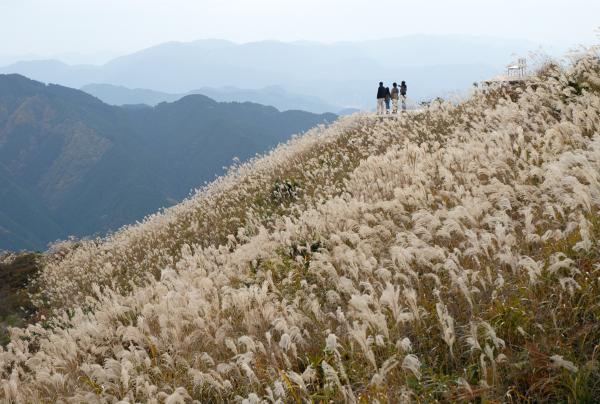 https://www.db.kansai-maas.jp/image/photos/abc6283d-3bc4-454b-aeab-dd36099264a8.jpg