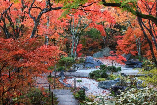 https://www.db.kansai-maas.jp/image/photos/ac0187c8-469c-47bd-b078-8d07c7f55f29.jpg