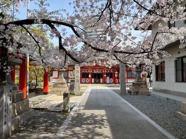 https://www.db.kansai-maas.jp/image/photos/ac20b7e6-3cf0-4b7c-8555-9ac45e5d818a.jpg