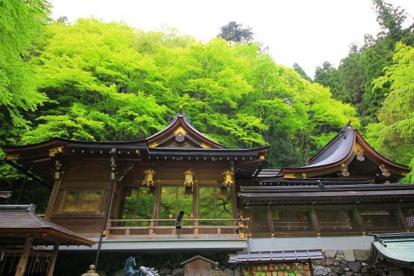 https://www.db.kansai-maas.jp/image/photos/ac4e04af-5fa9-4be9-932c-5895dfe1acdd.jpg