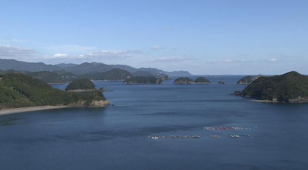 https://www.db.kansai-maas.jp/image/photos/aca4e156-91ff-477b-a089-656ada0190c3.jpg
