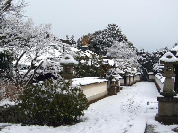 https://www.db.kansai-maas.jp/image/photos/ad37df2a-9655-4a24-b186-8bdeae6f6ac8.jpg
