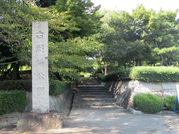 https://www.db.kansai-maas.jp/image/photos/adcce793-7baf-4b98-b2ec-eec709be3127.jpg