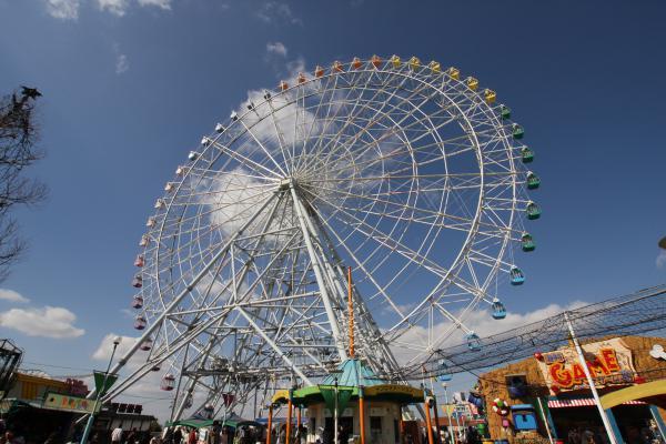 https://www.db.kansai-maas.jp/image/photos/ade43cf2-84fa-452d-bcf3-2eb1c17e3f1f.jpg