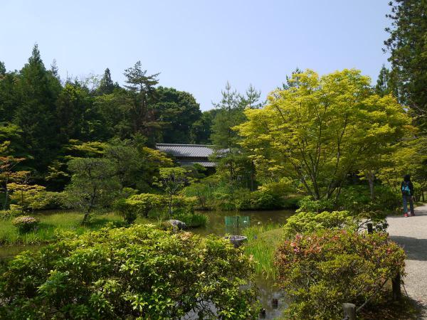 https://www.db.kansai-maas.jp/image/photos/ae116bd4-923a-4903-b1f2-dc3d06ddab75.jpg