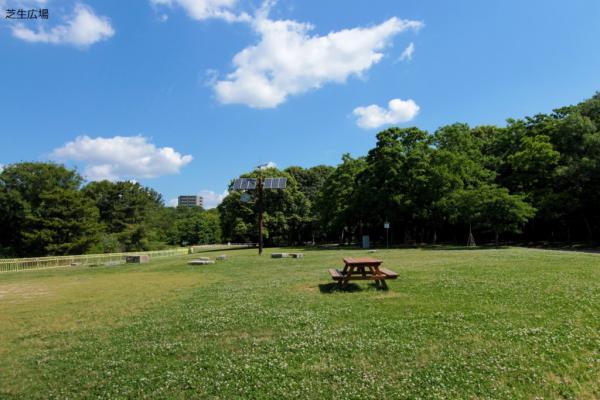 https://www.db.kansai-maas.jp/image/photos/ae52f73d-7970-4cc0-9676-7add5a549a48.jpg