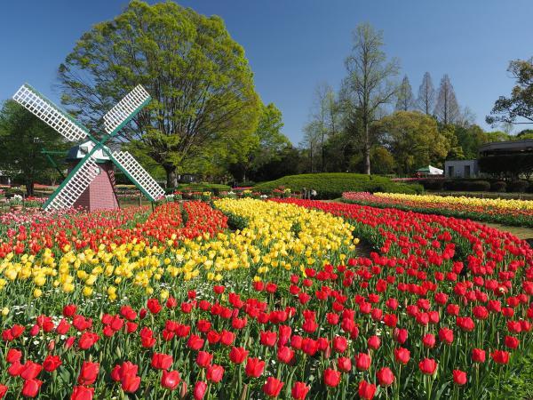 https://www.db.kansai-maas.jp/image/photos/ae75e75a-a68e-4bc8-93e3-cce5dab608fb.jpg