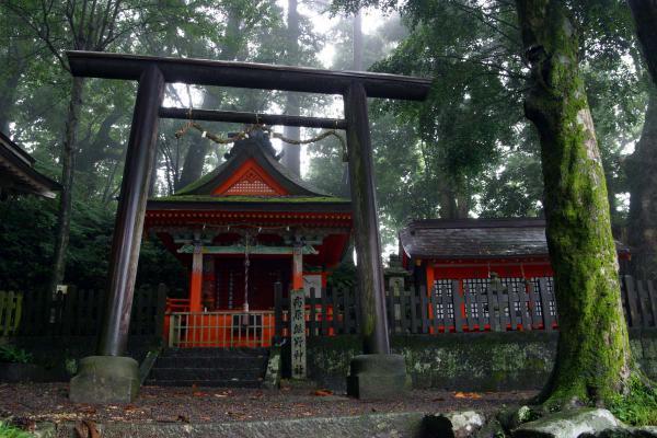 https://www.db.kansai-maas.jp/image/photos/aed107ad-8000-49ab-9934-58615e57d49b.jpg