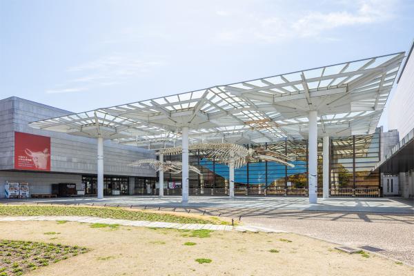 https://www.db.kansai-maas.jp/image/photos/af08032d-ecac-432b-86b0-b631a8e1b1cb.jpg